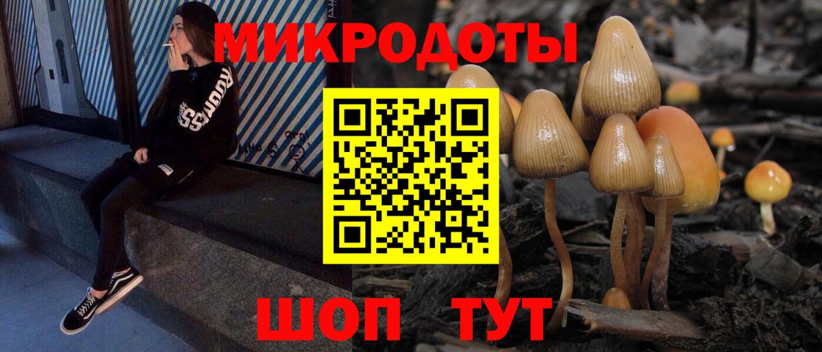 Лосино-Петровский  Галлюциногенные грибы Psilocybe  Галлюциногенные грибы Cubensis  Вход с VPN 